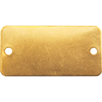 &eacute;tiquettes vierges, Laiton, 2" la x 1" h Industrial Sales