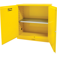 Flammable Storage Cabinet, 30 gal., 2 Door, 43" W x 44" H x 18" D Industrial Sales