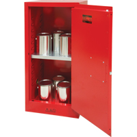 Armoire pour peintures et encres, 20 gal. Industrial Sales