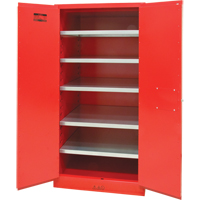 Armoire pour peintures et encres, 96 gal., 5 tablettes Industrial Sales