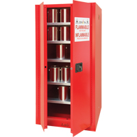 Armoire pour peintures et encres, 96 gal., 5 tablettes Industrial Sales