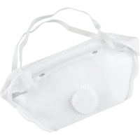 Respirateur contre les particules, N95, Certifi&eacute; NIOSH, Moyen/grand Industrial Sales
