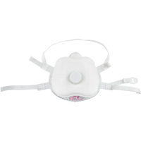 Respirateur contre les particules, P100, Certifi&eacute; NIOSH, Moyen/grand Industrial Sales
