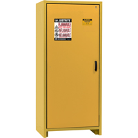 30-Minute EN Safety Storage Cabinet, 30 gal., 1 Door, 34.02" W x 76.65" H x 24.21" D Industrial Sales