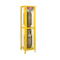 Gas Cylinder Cabinets, 2 Cylinder Capacity, 17" W x 17" D x 69" H, Yellow Industrial Sales