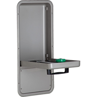 Eye/Face Wash Station, Wall-Mount Installation, Stainless Steel Bowl Industrial Sales