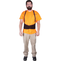 Back Support, Elastic, Small Industrial Sales