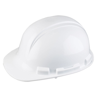 Casque de s&eacute;curit&eacute; Whistler de North, R&eacute;pond aux normes CSA type 1, Suspension Rochet, Non ventil&eacute; Industrial Sales
