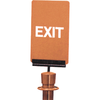 Enseigne de contr&ocirc;le des foules  Exit , 11" x 7", Plastique, Anglais Industrial Sales