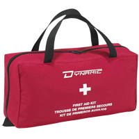 Dynamic Regular House First Aid Kit, Class 1 Medical Device, Nylon Bag Industrial Sales