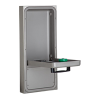 Eye/Face Wash Station, Wall-Mount Installation Industrial Sales