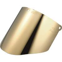 &eacute;cran facial Total Performance, Polycarbonate Industrial Sales