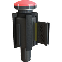 PLUS Barrier System Strobe Light Bracket & Red Strobe Light, Black Industrial Sales