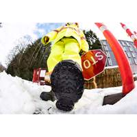 Heavy-Duty Traction Aid, Tungsten Carbide, Stud Traction, Small Industrial Sales
