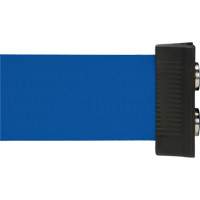 Barri&egrave;re &agrave; fixation murale avec ruban magn&eacute;tique, Acier, Fixation par vis, 7', Ruban Bleu Industrial Sales