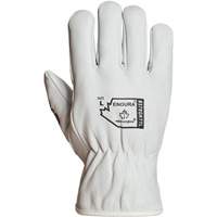 Endura&reg; Winter-Lined Driver Gloves, X-Large, Grain Goatskin Palm, Thinsulate Inner Lining Industrial Sales