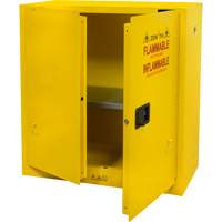 Flammable Storage Cabinet, 30 gal., 2 Door, 43" W x 44" H x 18" D Industrial Sales