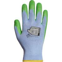 Fabric Gloves