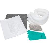 Trousse d'&eacute;quipement de lutte contre les d&eacute;versements, Huile seulement/Universel, Sac, Absorbance de 10 gal. US Industrial Sales