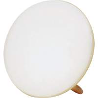 Jumbo Therapy Light for Seasonal Affective Disorder Industrial Sales