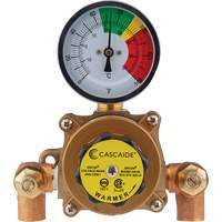 Mixing Valve for Exposed Assembly of Eye/Facewash, 9 gpm Industrial Sales