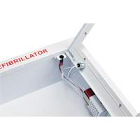 Semi-Recessed Large Cabinet with Alarm, Zoll AED Plus&reg;/Zoll AED 3/Cardio-Science/Physio-Control For, Non-Medical Industrial Sales