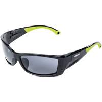 XP460 Safety Glasses, Smoke Lens, Anti-Fog/Anti-Scratch Industrial Sales