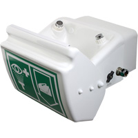 Eye/Face Wash, Wall-Mount Installation, Plastic Bowl Industrial Sales