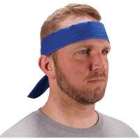 Bandeau de refroidissement Chill-Its 6702 avec polym&egrave;res int&eacute;gr&eacute;s et fermeture &agrave; nouer, Bleu Industrial Sales
