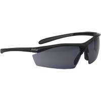 Sentinel Ballistic Protection Safety Glasses, Smoke Lens, Anti-Fog/Anti-Scratch, ANSI Z87+ Industrial Sales