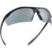 Sentinel Ballistic Protection Safety Glasses, Smoke Lens, Anti-Fog/Anti-Scratch/Polarized, ANSI Z87+ Industrial Sales