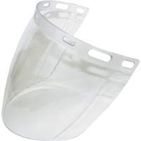 Visi&egrave;re 2CL, Polycarbonate, Teinte Transparent Industrial Sales