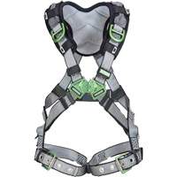 Harnais de s&eacute;curit&eacute; complet V-Fit, Certifi&eacute;e CSA, Classe AEP, Standard, Cap. 400 lb Industrial Sales
