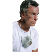 Respirateurs  contre les particules 2700, N95, Certifi&eacute; NIOSH, Grand/Moyen Industrial Sales