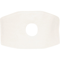 North&reg; Replacement Filter, Particulate Filter, N99 Filter Industrial Sales