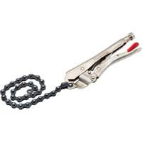 Locking Chain Clamp with Chain Industrial Sales