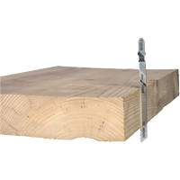 Lame de scie alternative pour la coupe du bois, Acier &agrave; haute teneur en carbone, Tige en T, 4" lo, 10 dents par pouce Industrial Sales