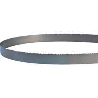 Welded Bandsaw Blade, Bi-Metal, 14' L x 1" W x 4 - 6 TPI Industrial Sales