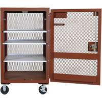 Mobile Mesh Cabinet, Steel, 22 Cubic Feet, Red Industrial Sales