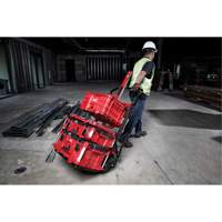 Packout 2-Wheel Cart Industrial Sales