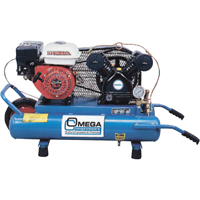 Compresseurs d'air s&eacute;rie entrepreneur, Essence, 6,6 gal. (8 gal. US), 125 PSI Industrial Sales