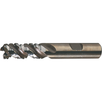 PM Plus Single End Roughers, Powder Metal, 3-Flute, Centre Cutting, Square End, 3/4" Dia. Industrial Sales