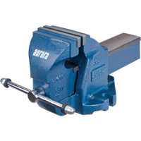 &eacute;tau d'&eacute;tabli robuste, Largeur des m&acirc;choires 5", Profondeur de la gorge 3-3/10" Industrial Sales