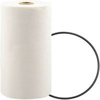 P7247 Filtre pour liquide de refroidissement &agrave; visser avec additif BTE Industrial Sales