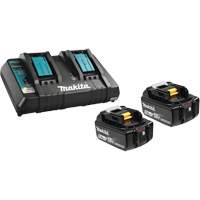 Li-Ion Battery & Dual-Port Charger Kit, 18 V, Lithium-Ion Industrial Sales