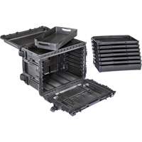 Armoire &agrave; outils mobile Gen 2, 24" la, 6 tiroirs, Noir Industrial Sales
