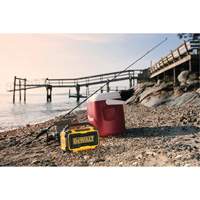 Haut-parleur Max Bluetooth pour chantier (outil seulement), Lithium-ion, 12 V/20 V Industrial Sales