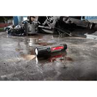 USB Compatible Compact Flashlight, LED, 800 Lumens, Rechargeable Batteries Industrial Sales