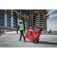 Packout Rolling Tool Chest, 15-4/5" x 34" x 28", Red Industrial Sales