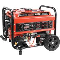 Multi-Fuel Inverter Generators